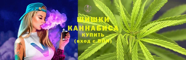 сатива Алзамай
