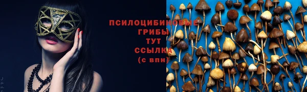 каннабис Алексеевка