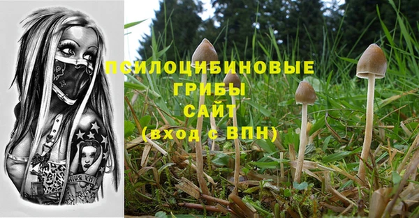 скорость Горно-Алтайск