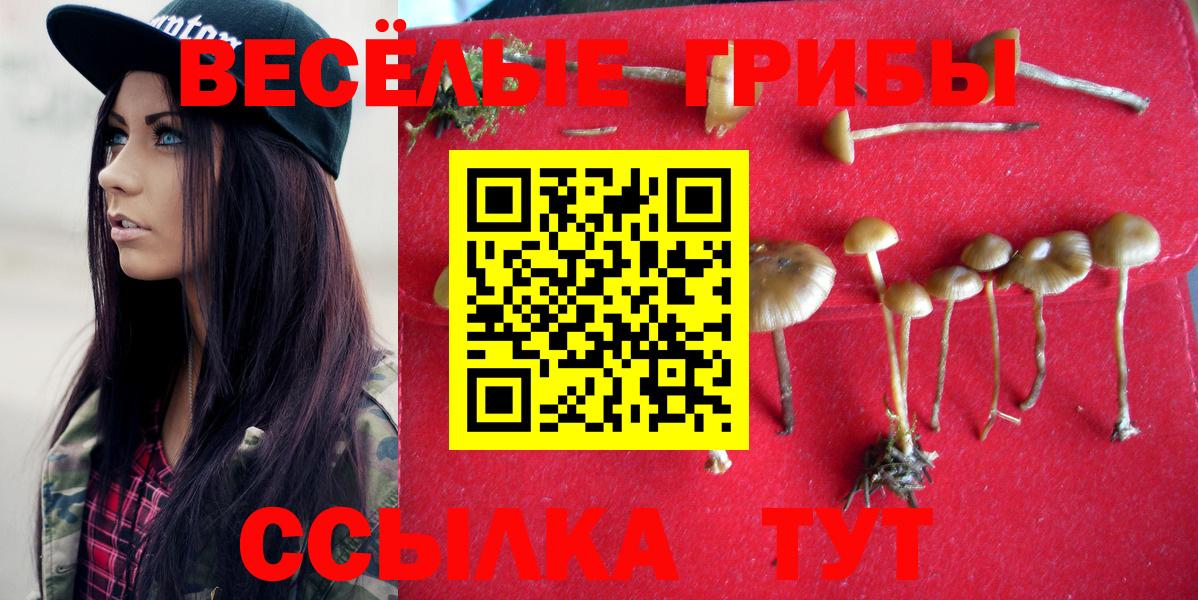 Псилоцибиновые грибы MAGIC MUSHROOMS  Вход с VPN  Волоколамск 